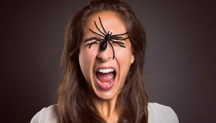 Scared woman with a spider on her face