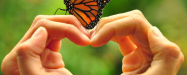 Woman holding a butterfly