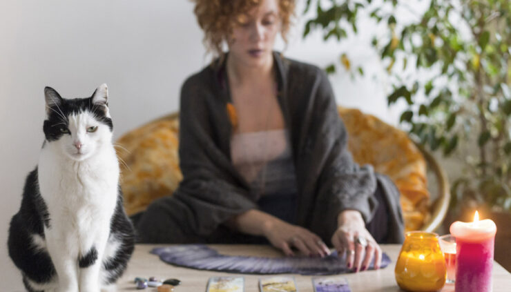 Woman with cat reading tarot